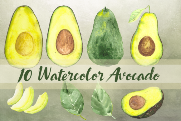 10 Watercolor Avocado Clip Art Set and Illustrations