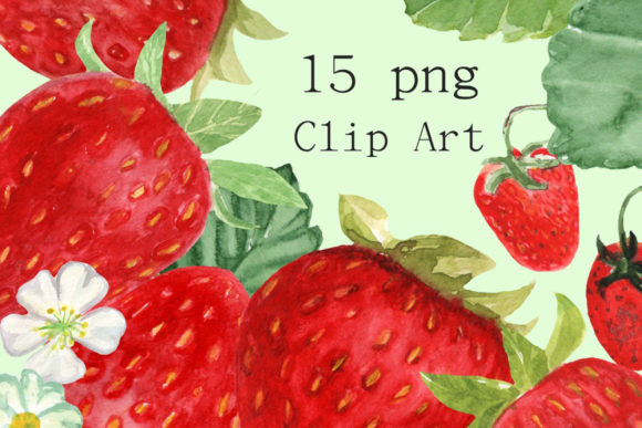 15 Watercolor Strawberries Clip Art & Illustrations