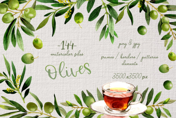 Branches of Olive Tree Watercolor Set and Illustrations