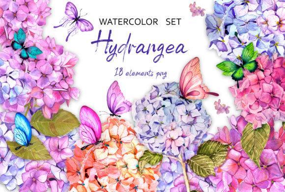 Hydrangea Garden Watercolor Clipart and Illustrations