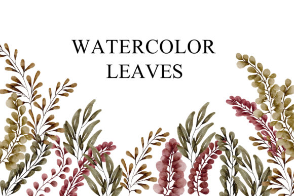Leaves Watercolor PNG for Illustrations