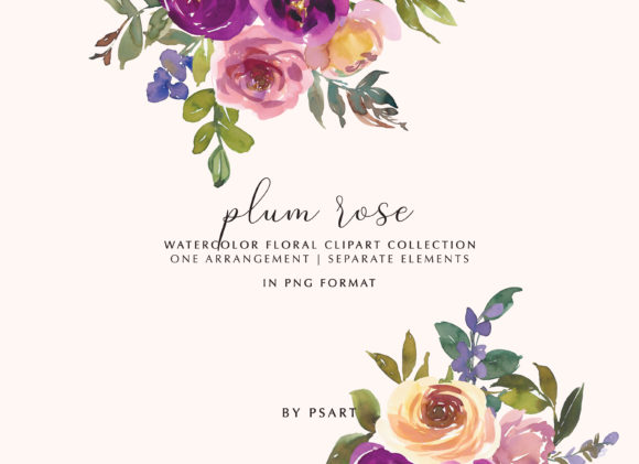 Plum and Blush Watercolor Floral Clipart and Illustrations