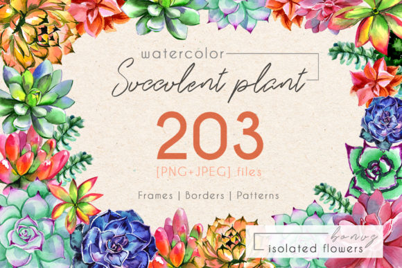 Succulent Plant PNG Watercolor Set for Illustrations