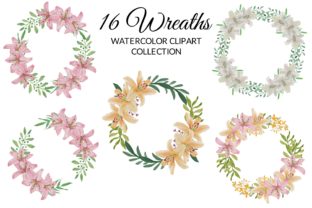 Tropical Lily Flower Watercolor Clipart and Illustrations