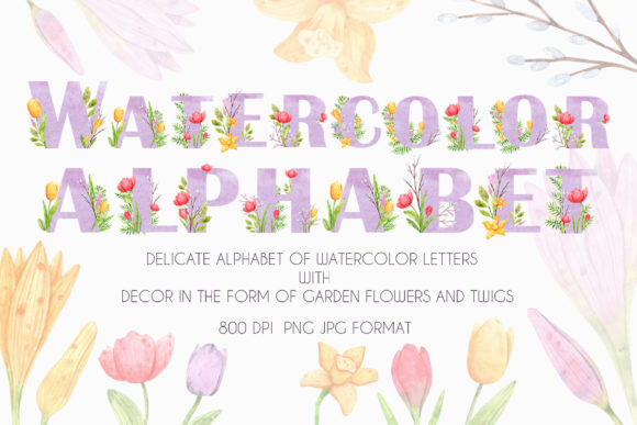 Watercolor Alphabet and Illustrations