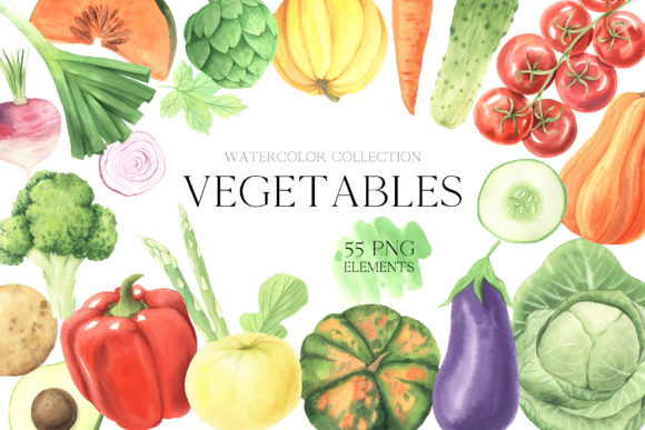 Watercolor Fall Vegetables Clipart Set and Illustrations