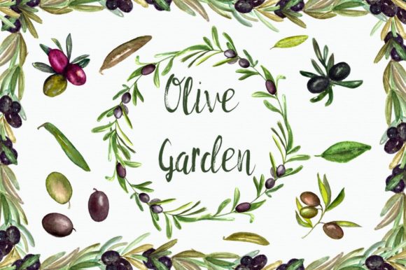 Watercolor Olive Garden Clip Art and Illustrations