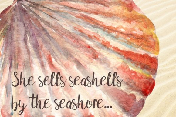 Watercolor Seashells Clip Art Set and Illustrations