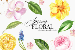 Watercolor Spring Flower Clipart and Illustrations