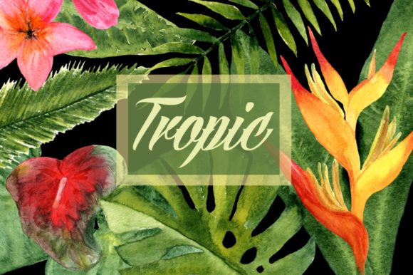 Watercolor Tropic Clip Art