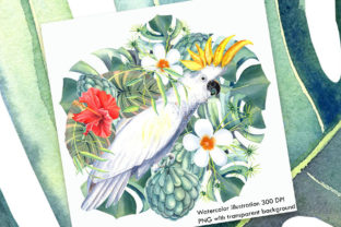 Watercolor Tropical Illustration II and Illustrations